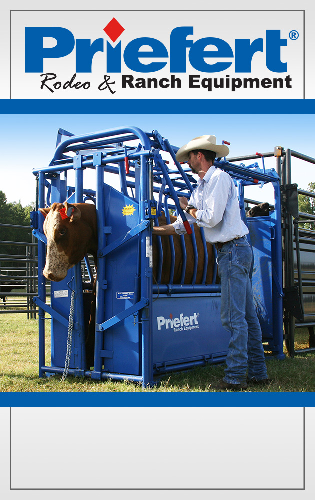 Cattle S04 Quarterpg.jpg